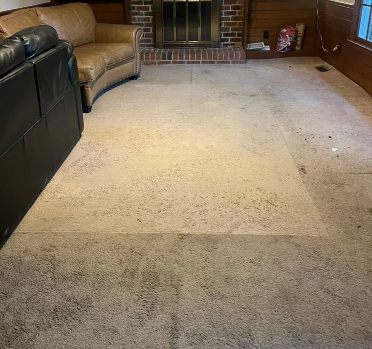 Before: Living room: carpet replaced with plank flooring